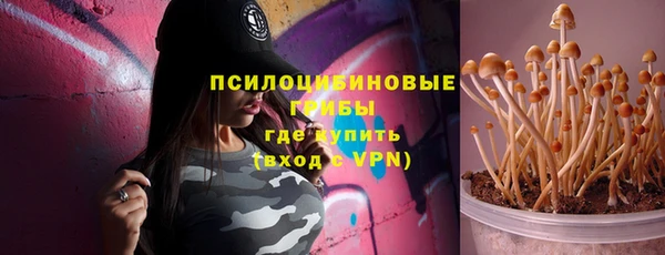 крисы Инсар