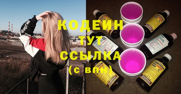 сатива Инта