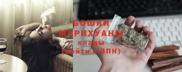 сатива Инта