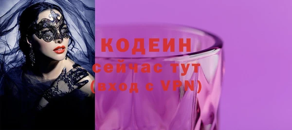 сатива Инта