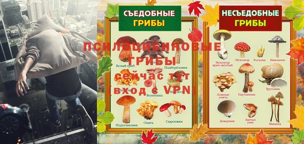 сатива Инта