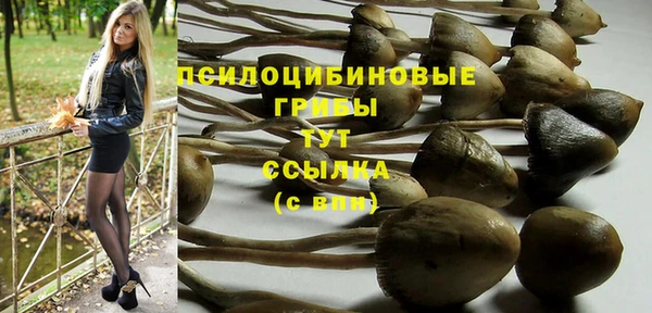 MDMA Premium VHQ Иннополис