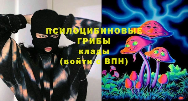 сатива Инта