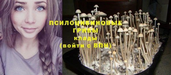 MDMA Premium VHQ Иннополис