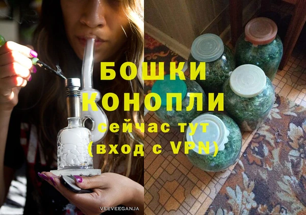 сатива Инта