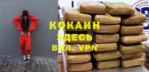 сатива Инта