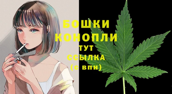 крисы Инсар