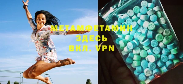 сатива Инта
