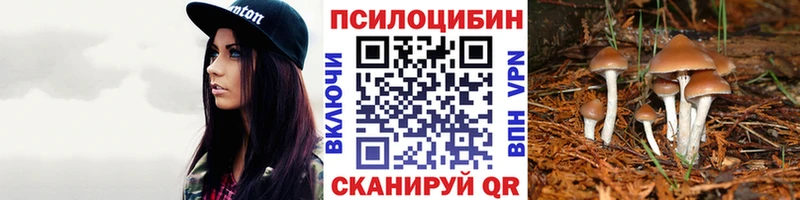 как найти Сураж Галлюциногенные грибы MAGIC MUSHROOMS