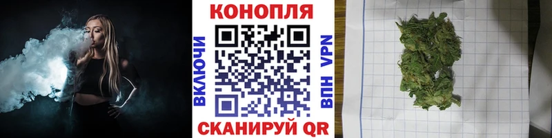 Марихуана конопля  Сураж 